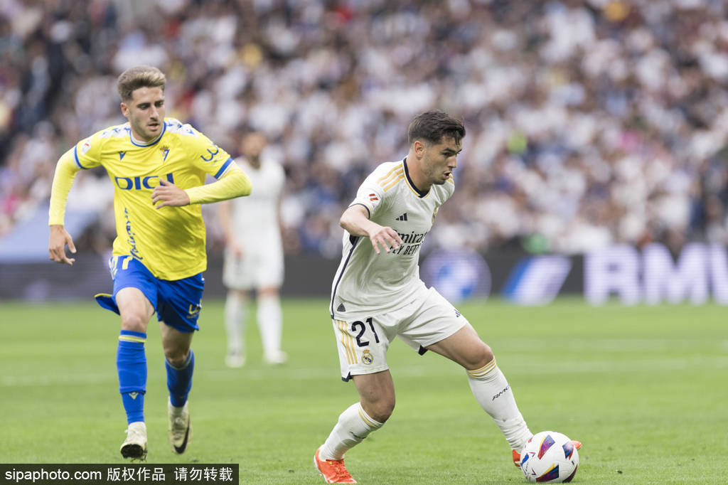 的训练有素 的训练有素