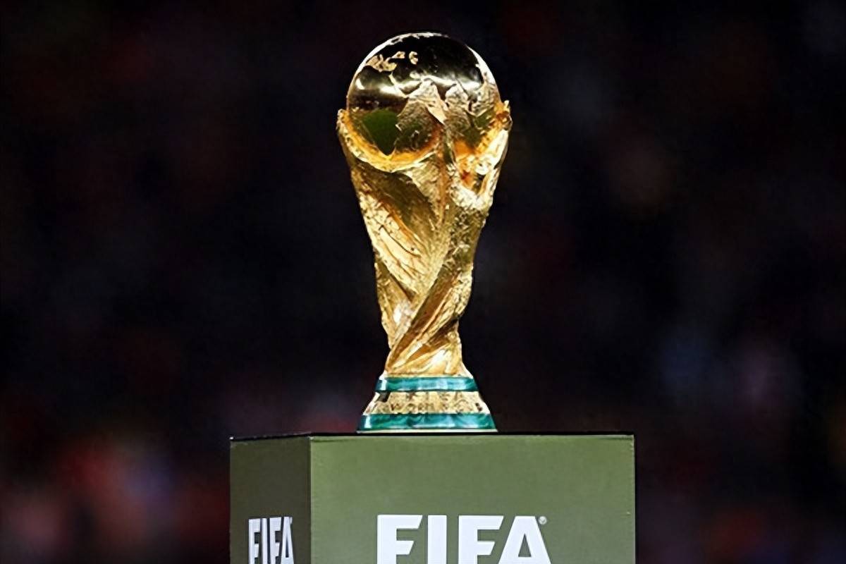 视的力量 视的力量