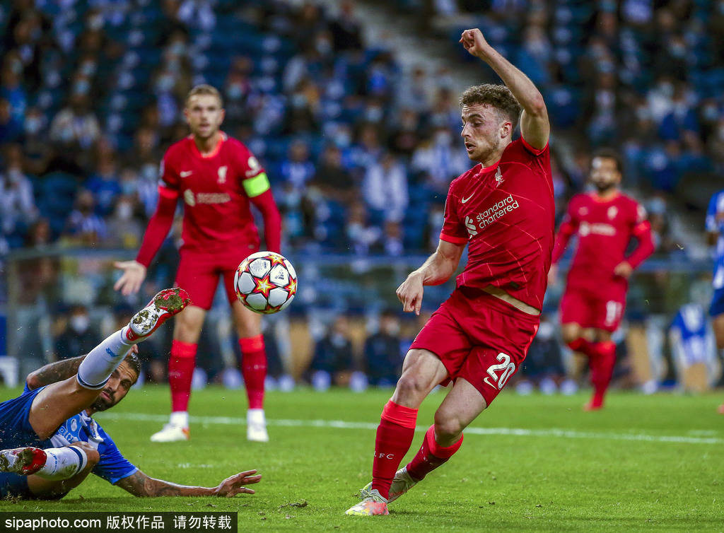 的不成熟 的不成熟